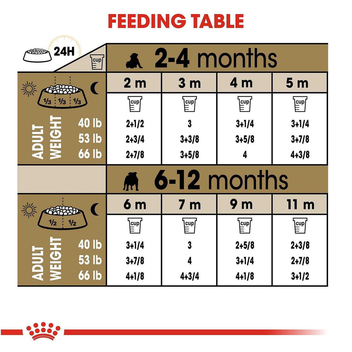 Bulldog Puppy Dry Dog Food S97560