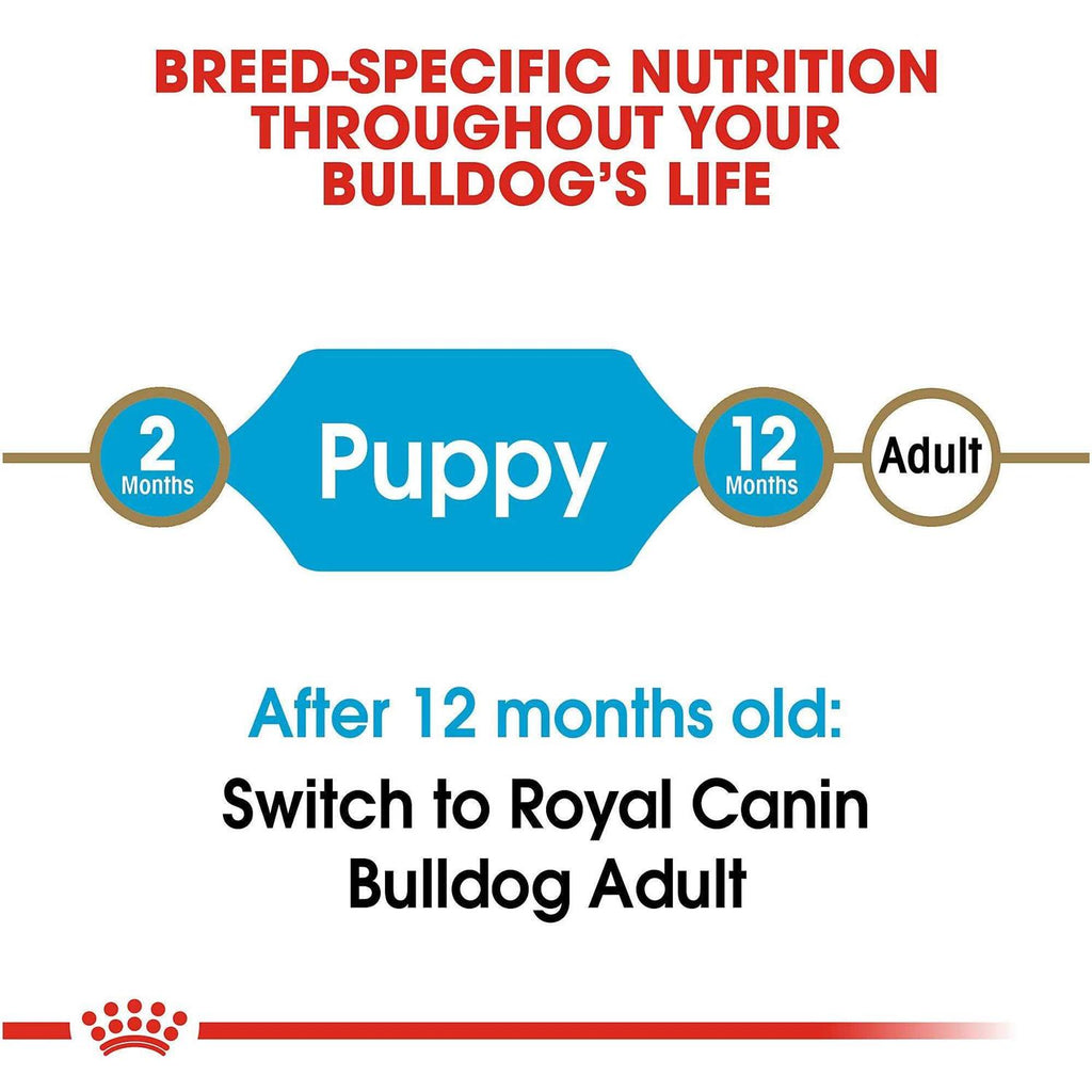 Bulldog Puppy Dry Dog Food S97560