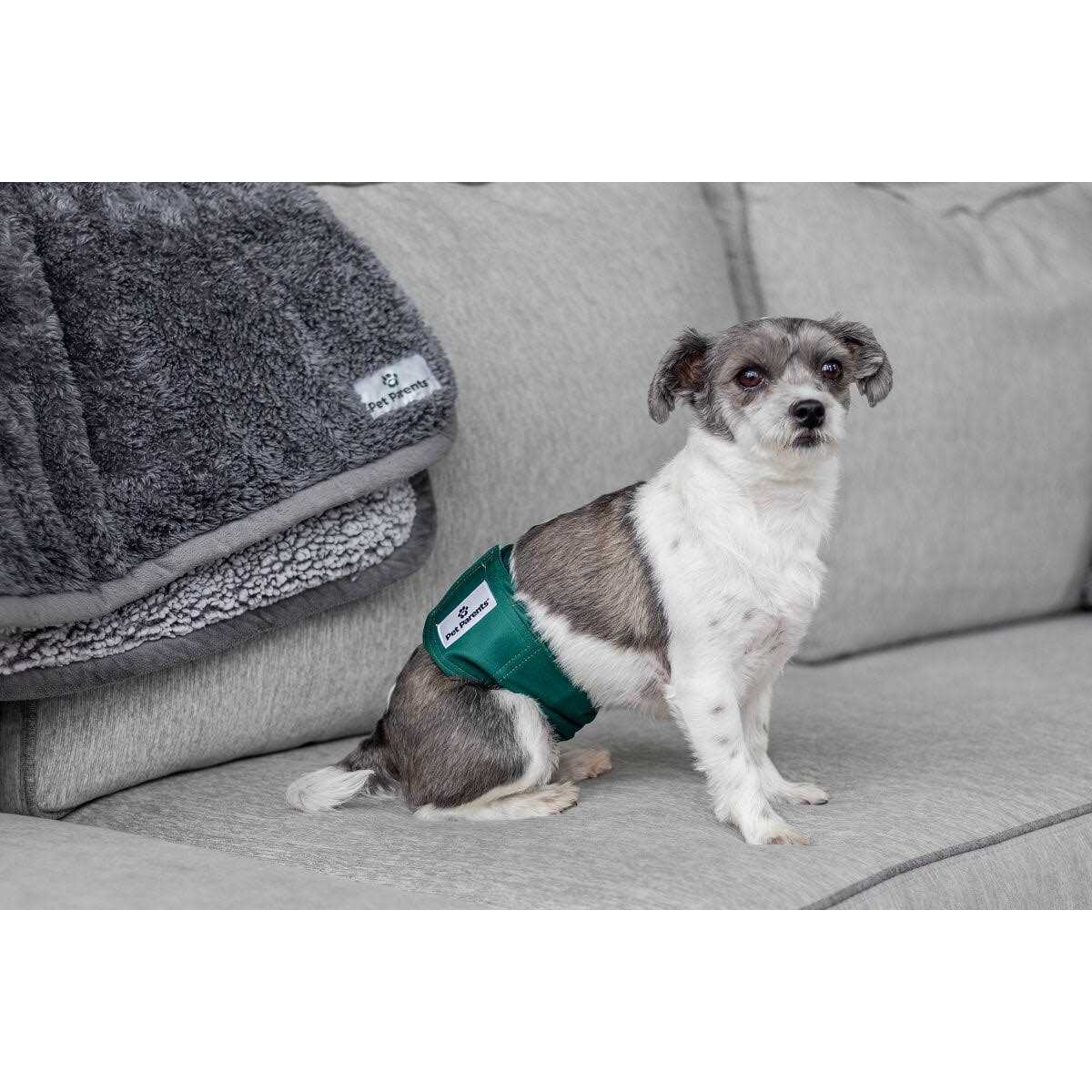 Washable Dog Belly Bands A1216