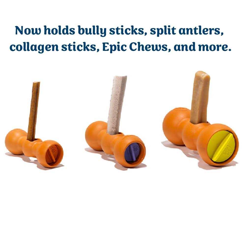 Bully Buddy Bully Stick Holder Starter Kit R7142