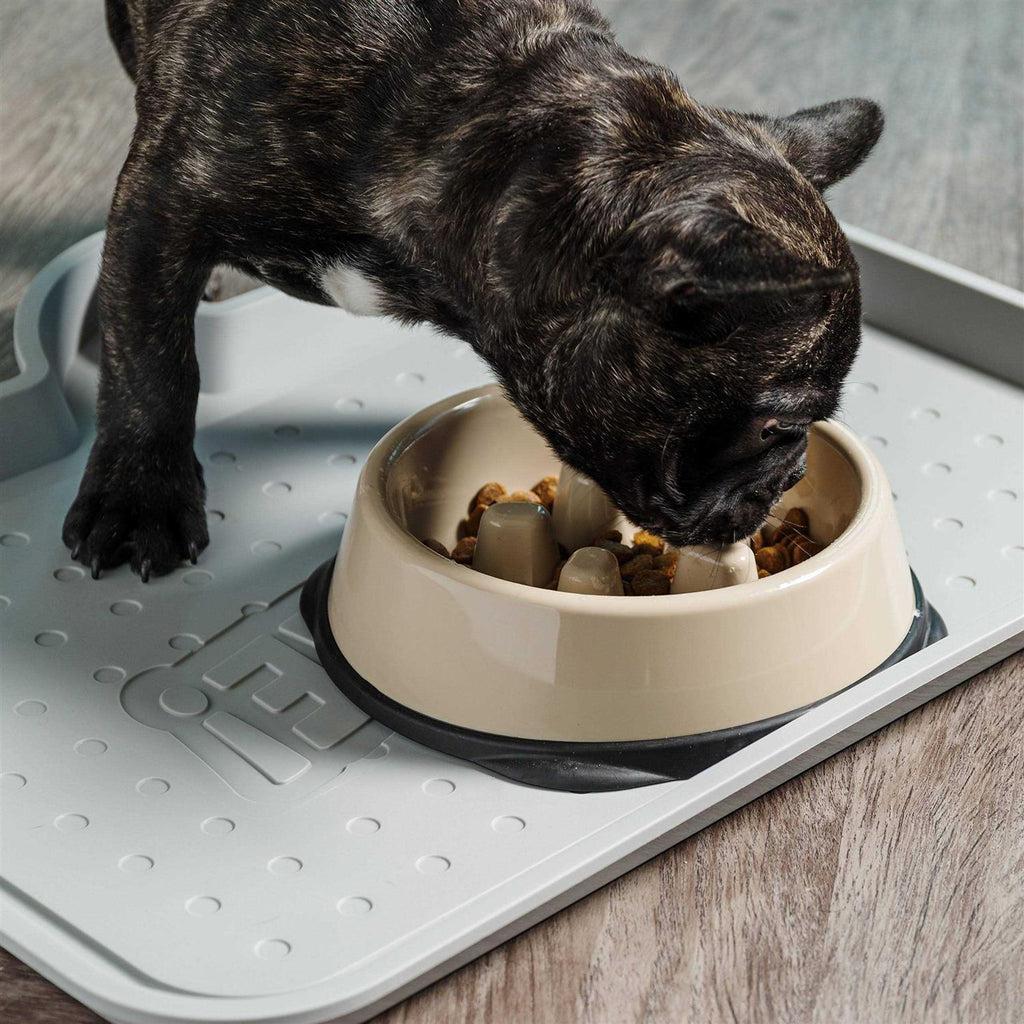Slow Feeding Bowl for Short Snouted Pets P230