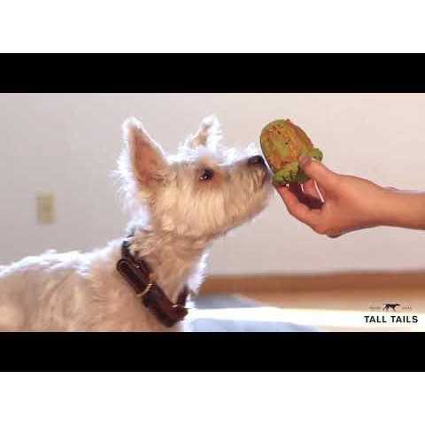 Dog Toy Natural Rubber Pinecone V85930