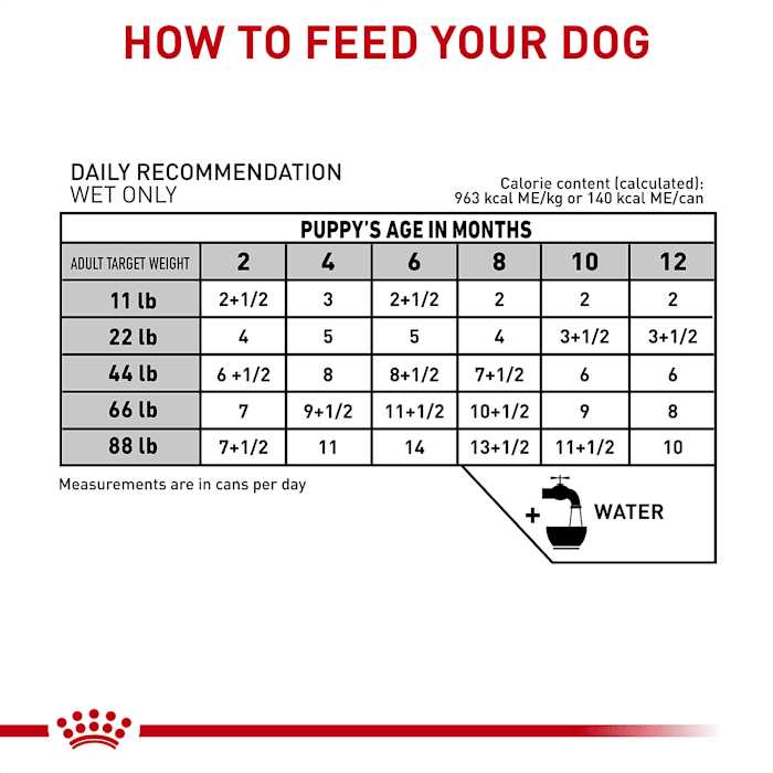 Canned Dog Food U30870