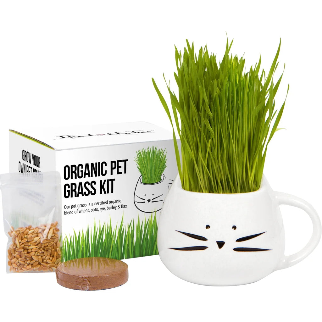 Organic Cat Grass Kit with Seed Mix and Soil P394905