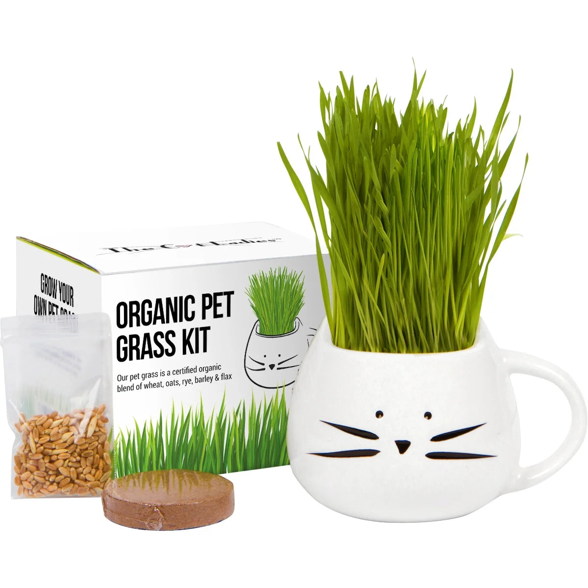 Organic Cat Grass Kit with Seed Mix and Soil P394905