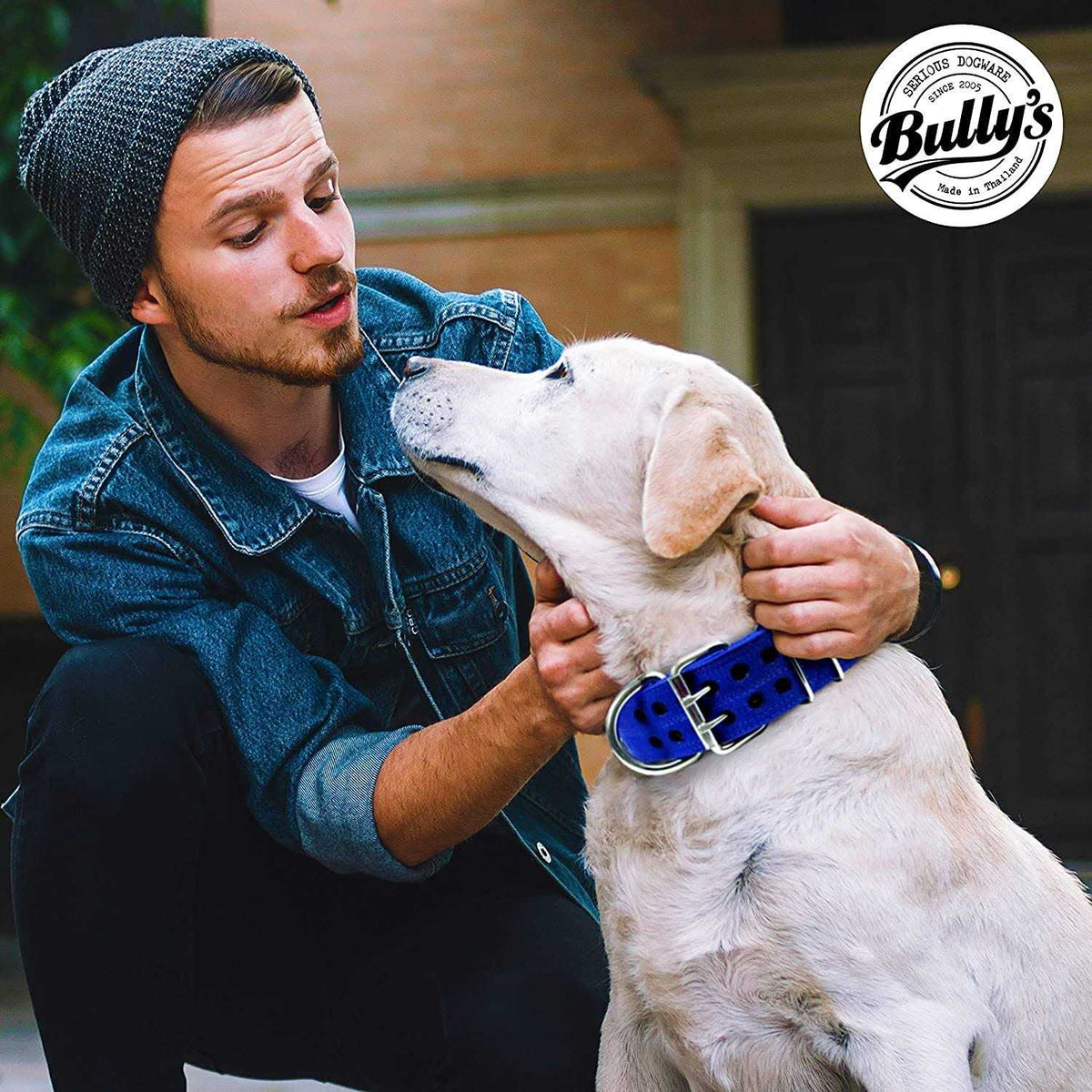 Dog Collar B6154