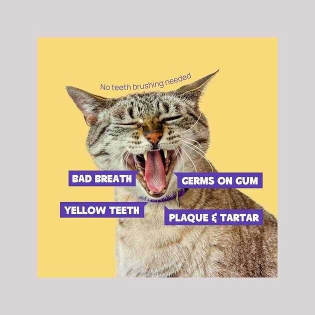 Dental Finger Wipes for Cats & Dogs 50 pc C412
