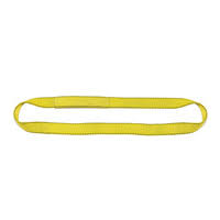 3 Ply 8x22 x 5& Endless Polyester Web Sling X17833