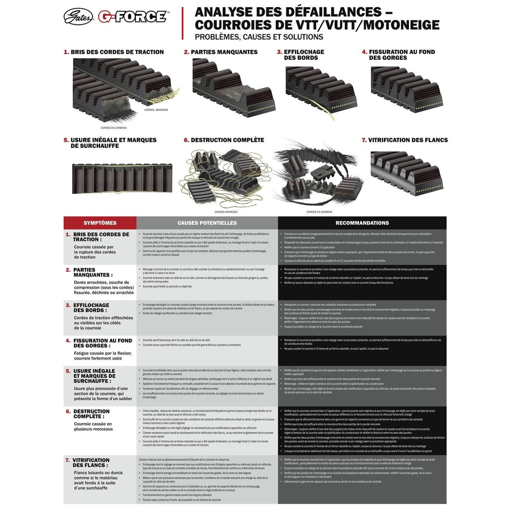 Carbon Cord CVT Belt W250