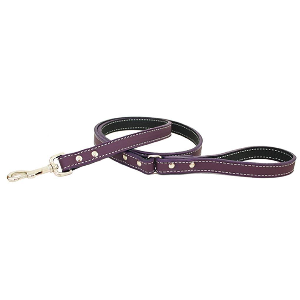Purple Dog Leash A646423