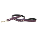 Purple Dog Leash A646423