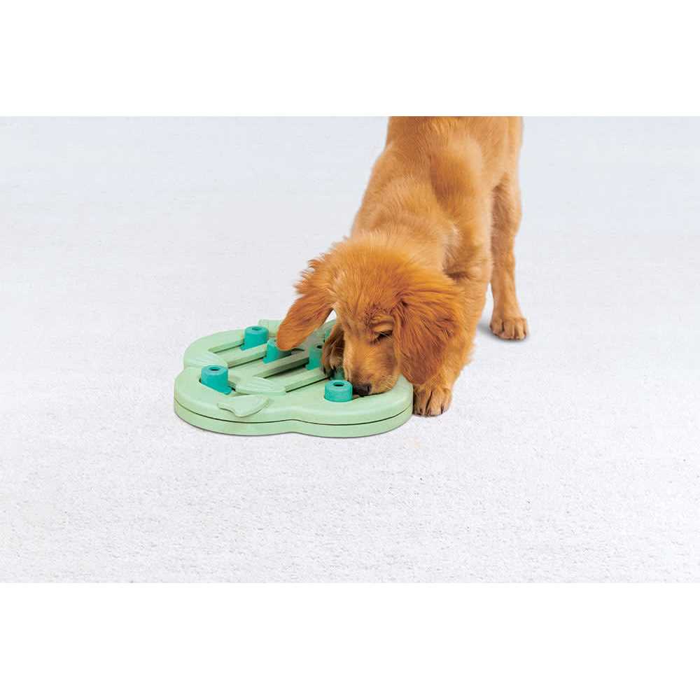 Interactive Treat Puzzle Dog Toy I8789