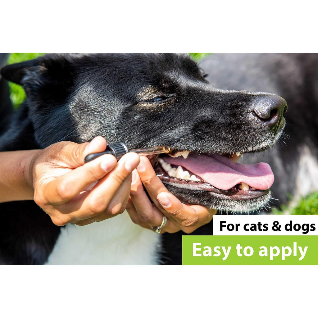 Dental Health Formula for Dogs & Cats U2730