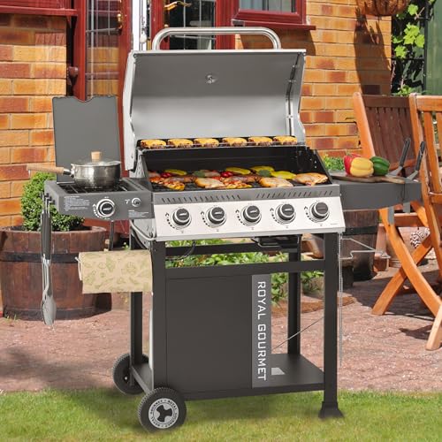 5 Burner Propane Gas Grill with Side Burner and Sear Burner, Porcelain-Enameled Cast Iron Grates E838