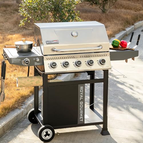 5 Burner Propane Gas Grill with Side Burner and Sear Burner, Porcelain-Enameled Cast Iron Grates E838