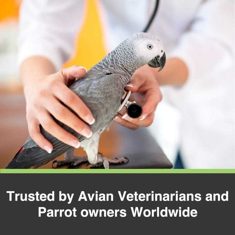 Large Parrot Bird Food C62337