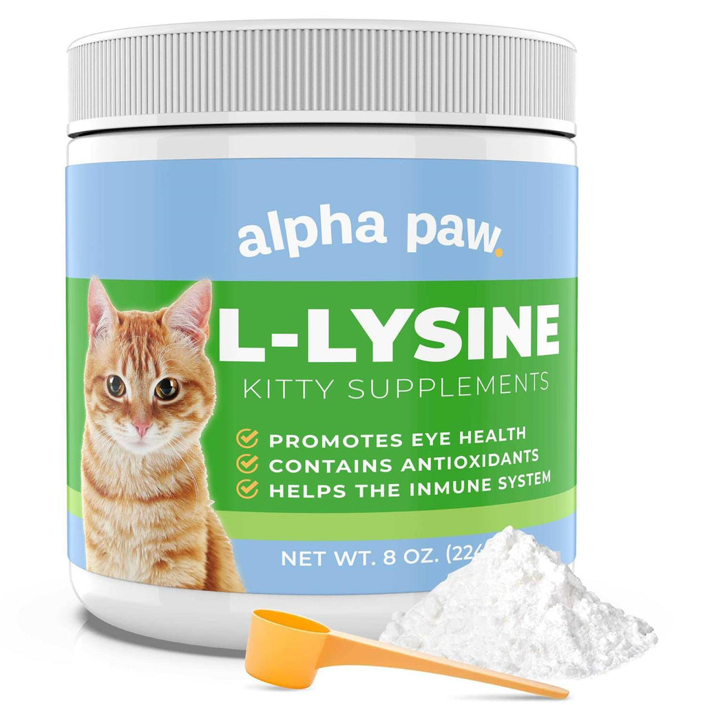 Cat Lysine Supplement N371849