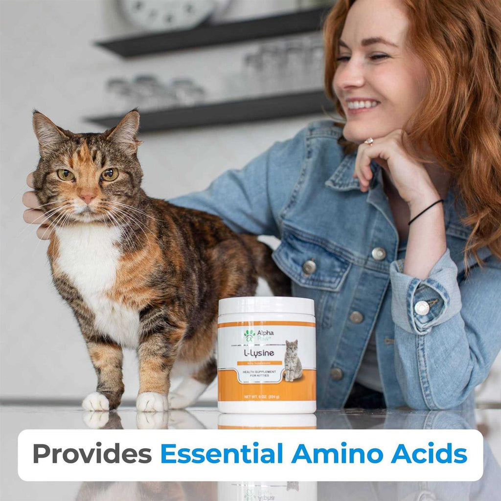 Cat Lysine Supplement N371849