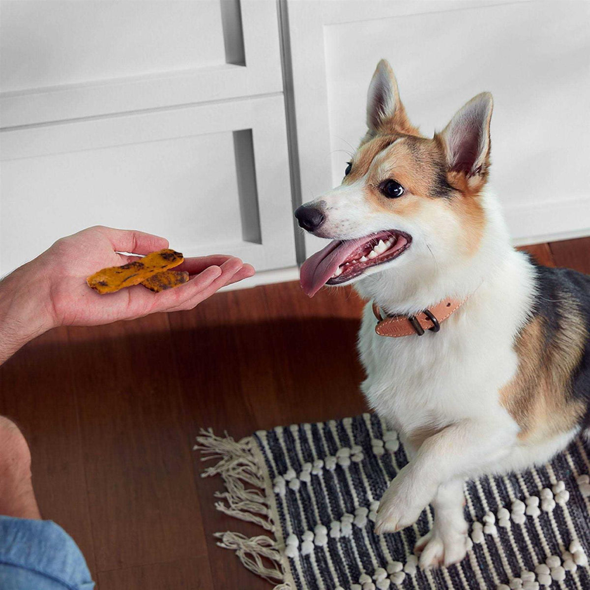 Turkey Recipe Dog Treats B60698