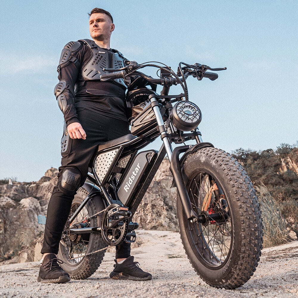 1000W Fat Tire Electric Bike with Removable Battery H323803