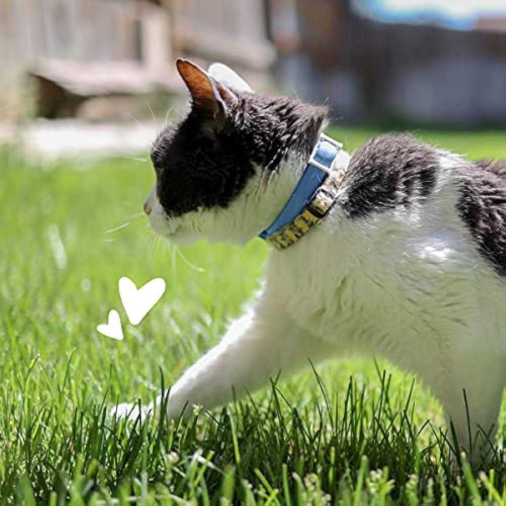 Flea & Tick Collar for Cats A948267