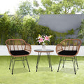 3 Pieces Wicker Rattan Patio Conversation Set with Tempered Glass Table Y10154