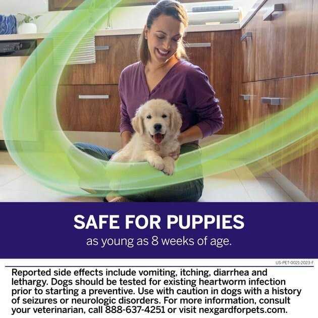 Chew for Dogs G847183