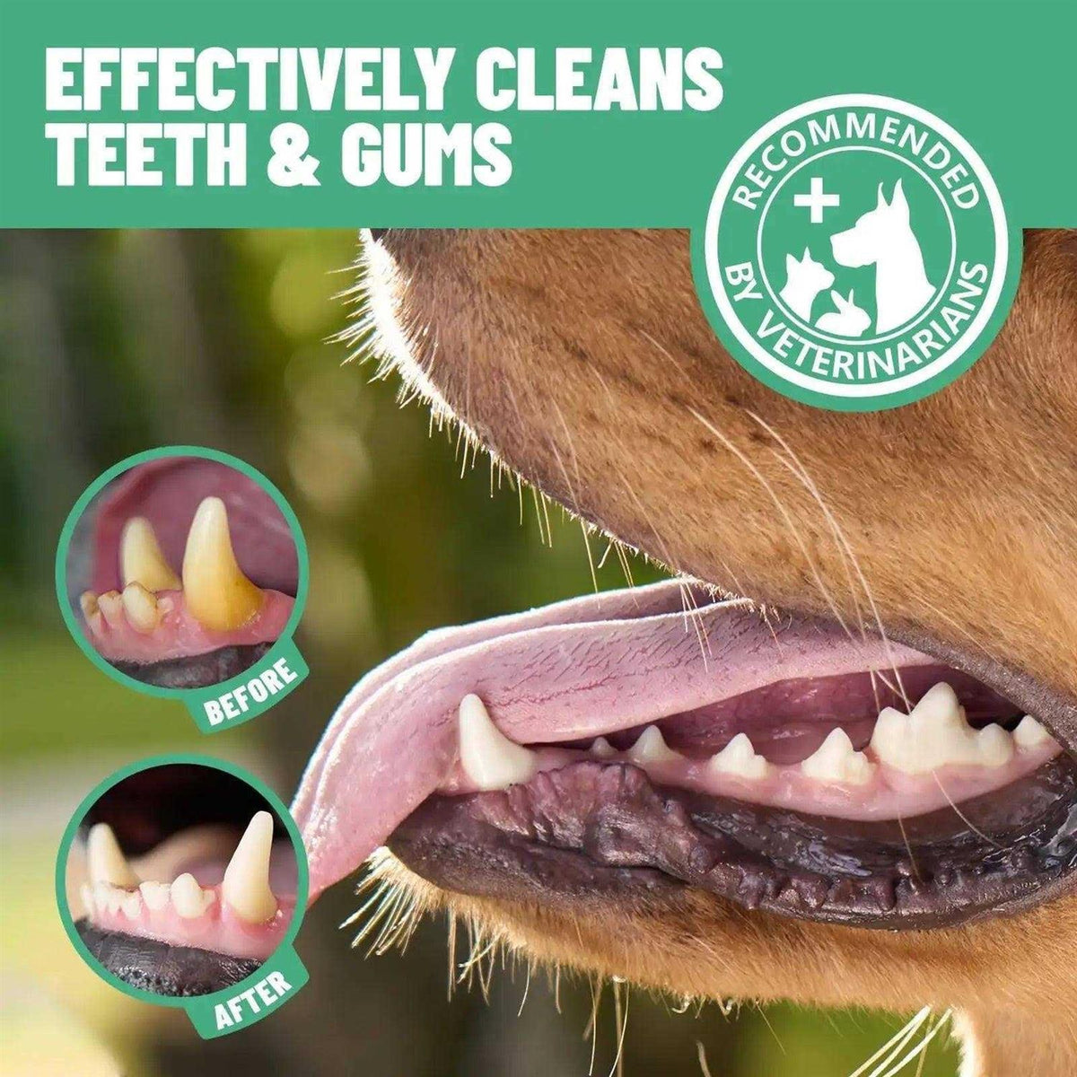 Dental Finger Wipes for Cats & Dogs 50 pc C412