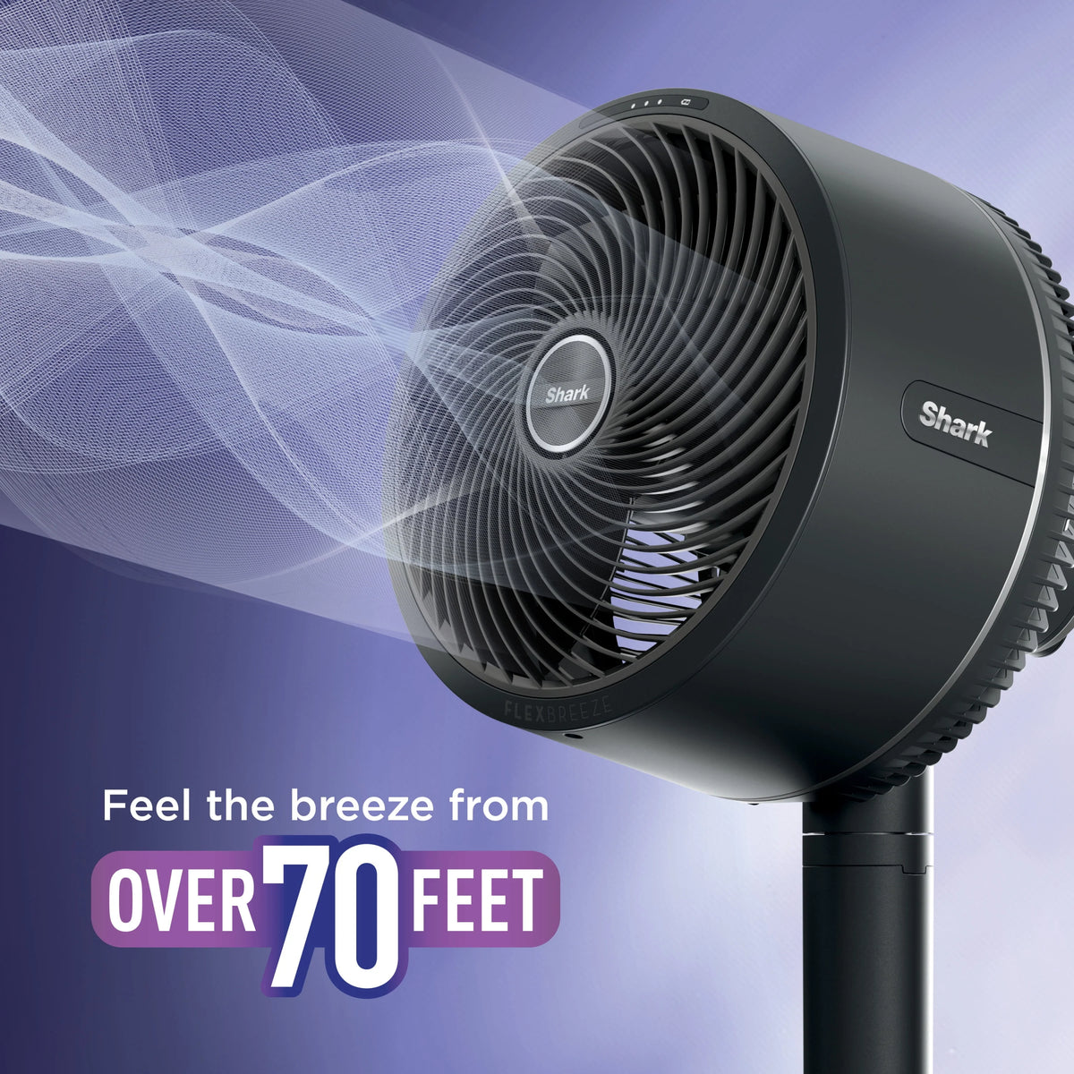 Cordless & Corded Indoor Outdoor Fan T459636