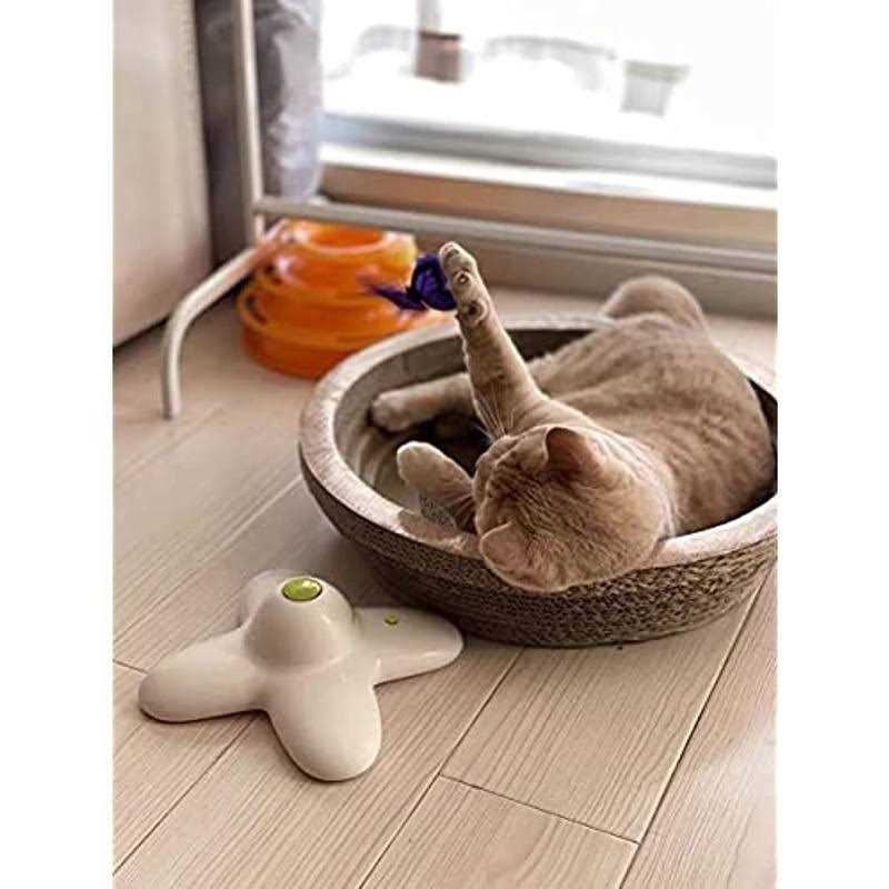 Interactive Cat Butterfly Toy with Two Replacements N656419