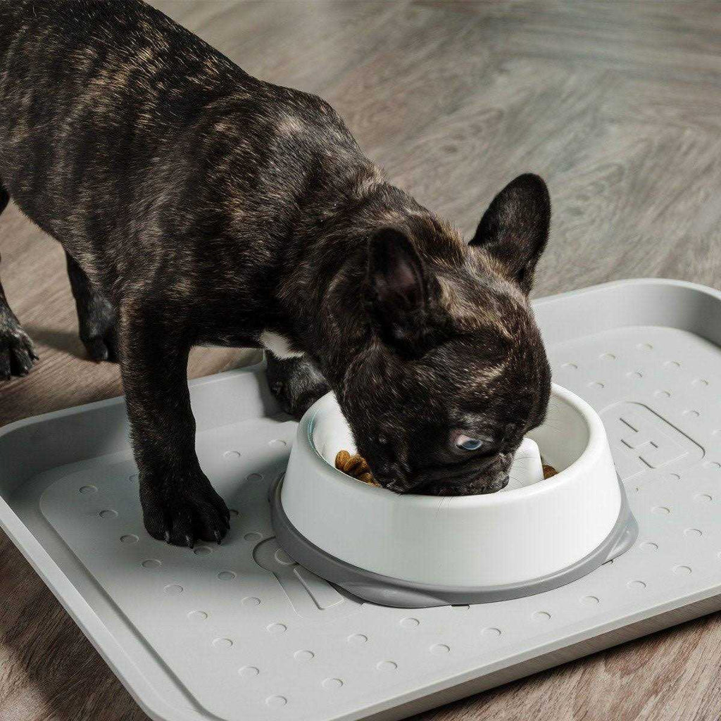 Slow Feeding Bowl for Short Snouted Pets P230