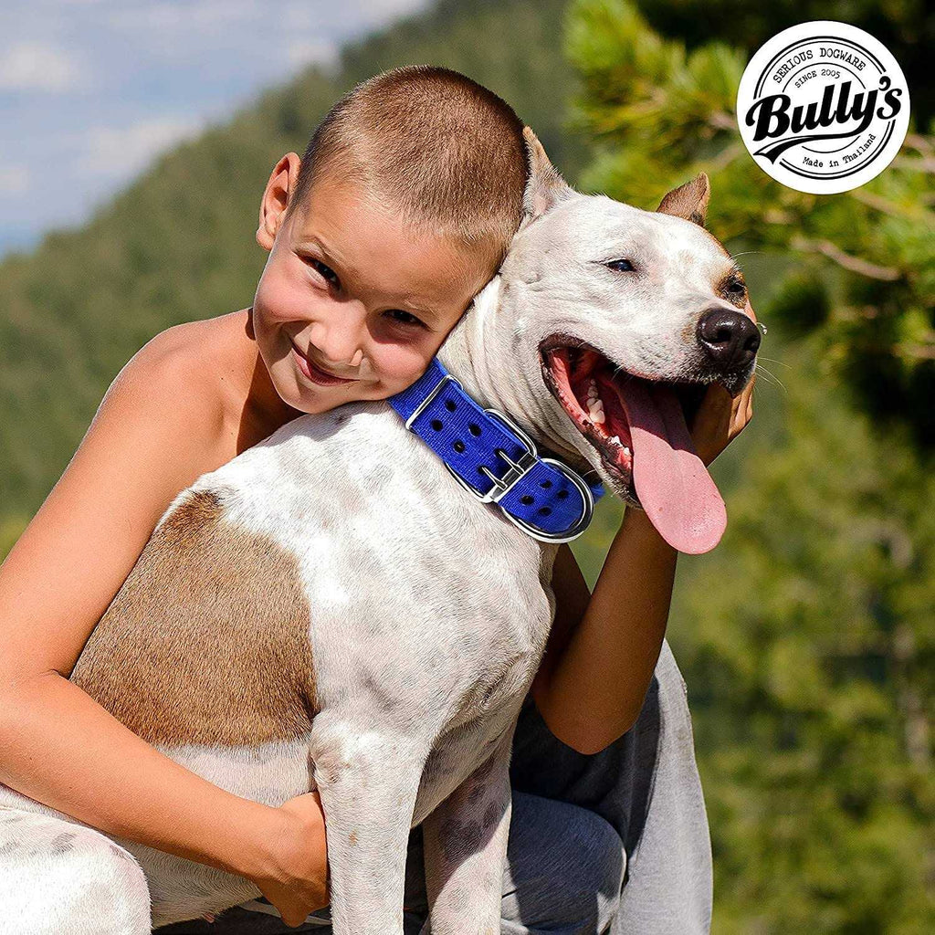Dog Collar B6154