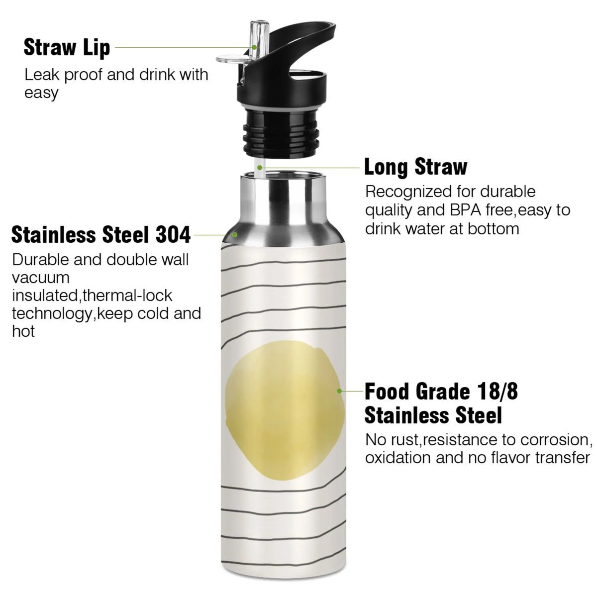 Stainless Steel Vacuum Insulated Water Bottle with Straw Lid 20 OZ O437