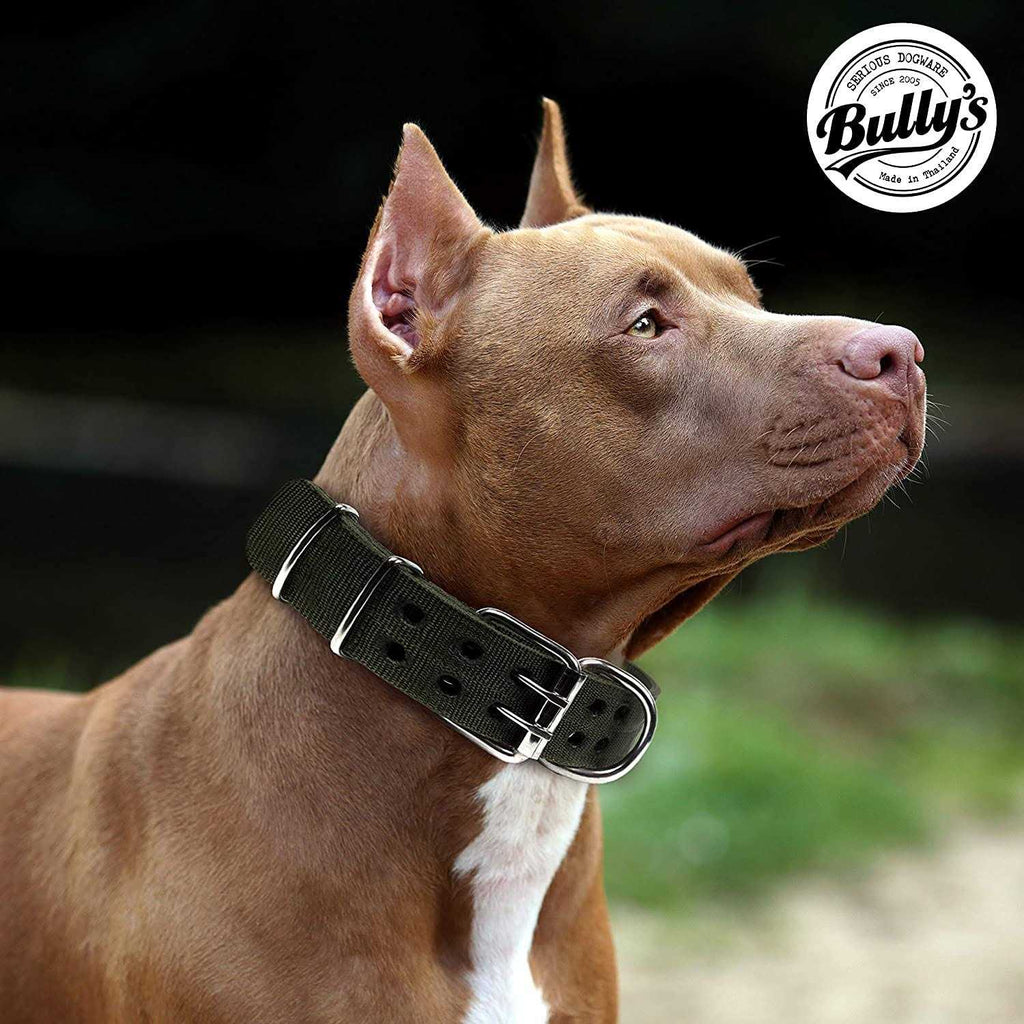 Dog Collar B6154
