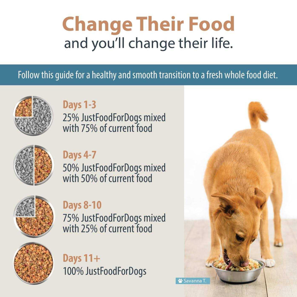 Balanced Frozen Dog Food P227