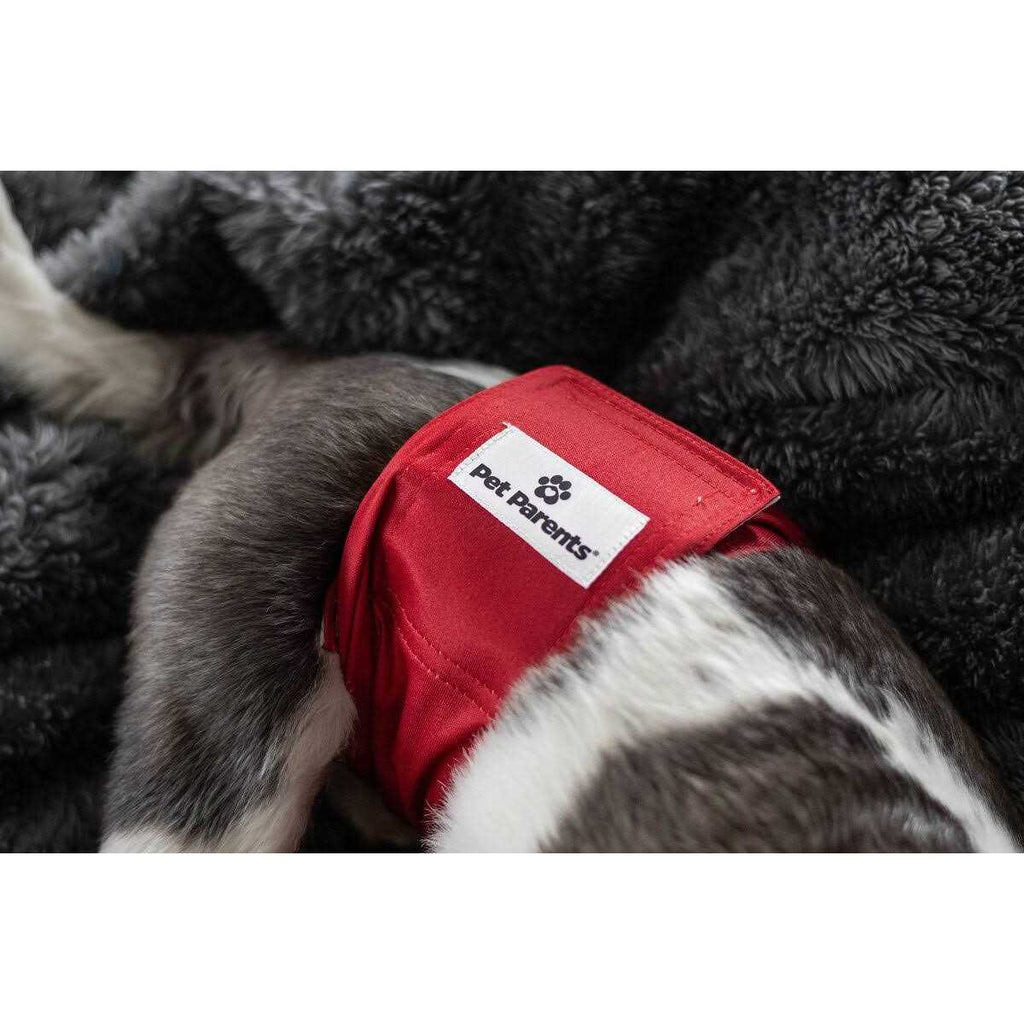 Washable Dog Belly Bands A1216