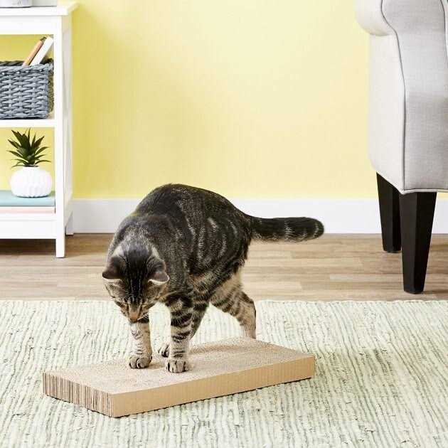 Cat Scratcher V715046