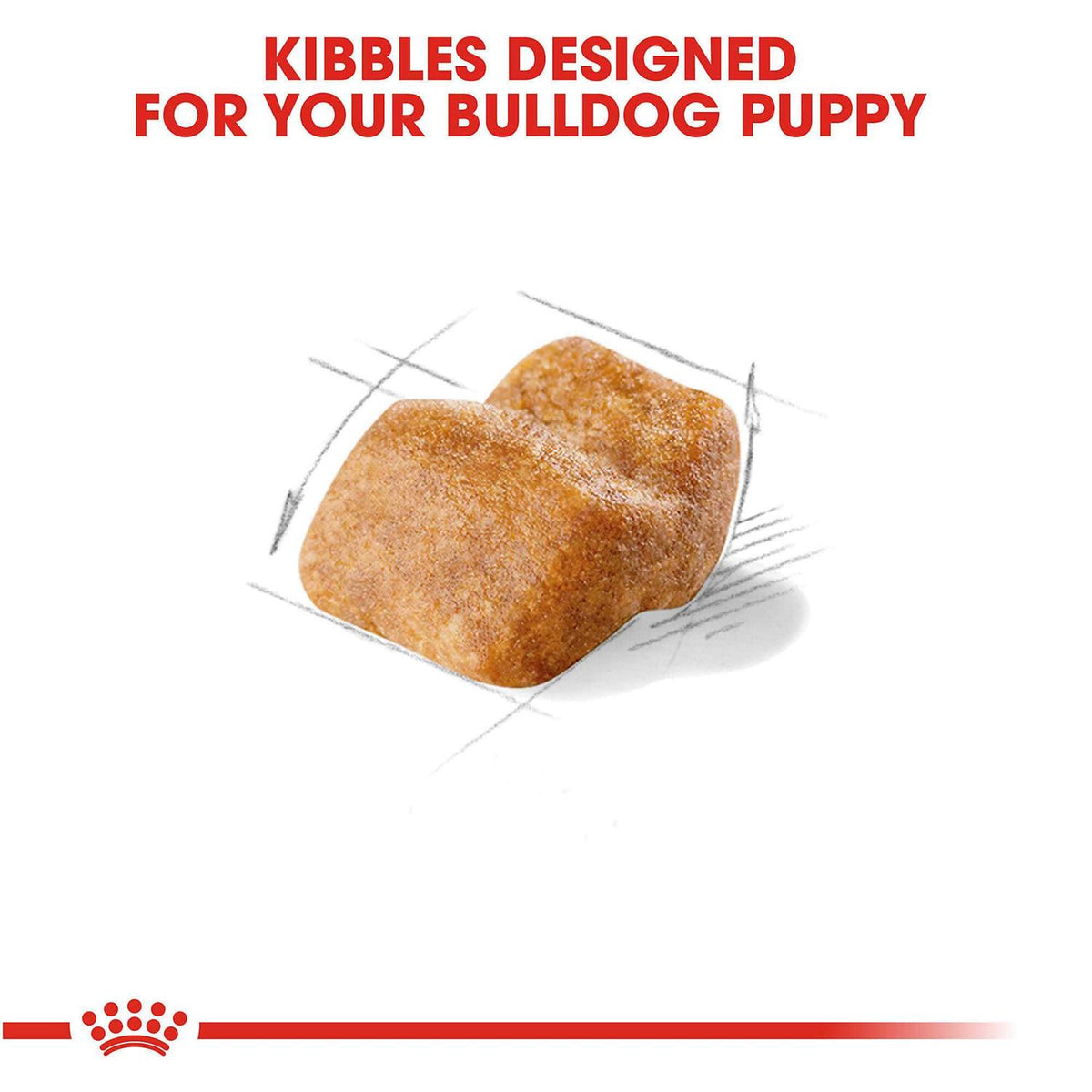 Bulldog Puppy Dry Dog Food S97560