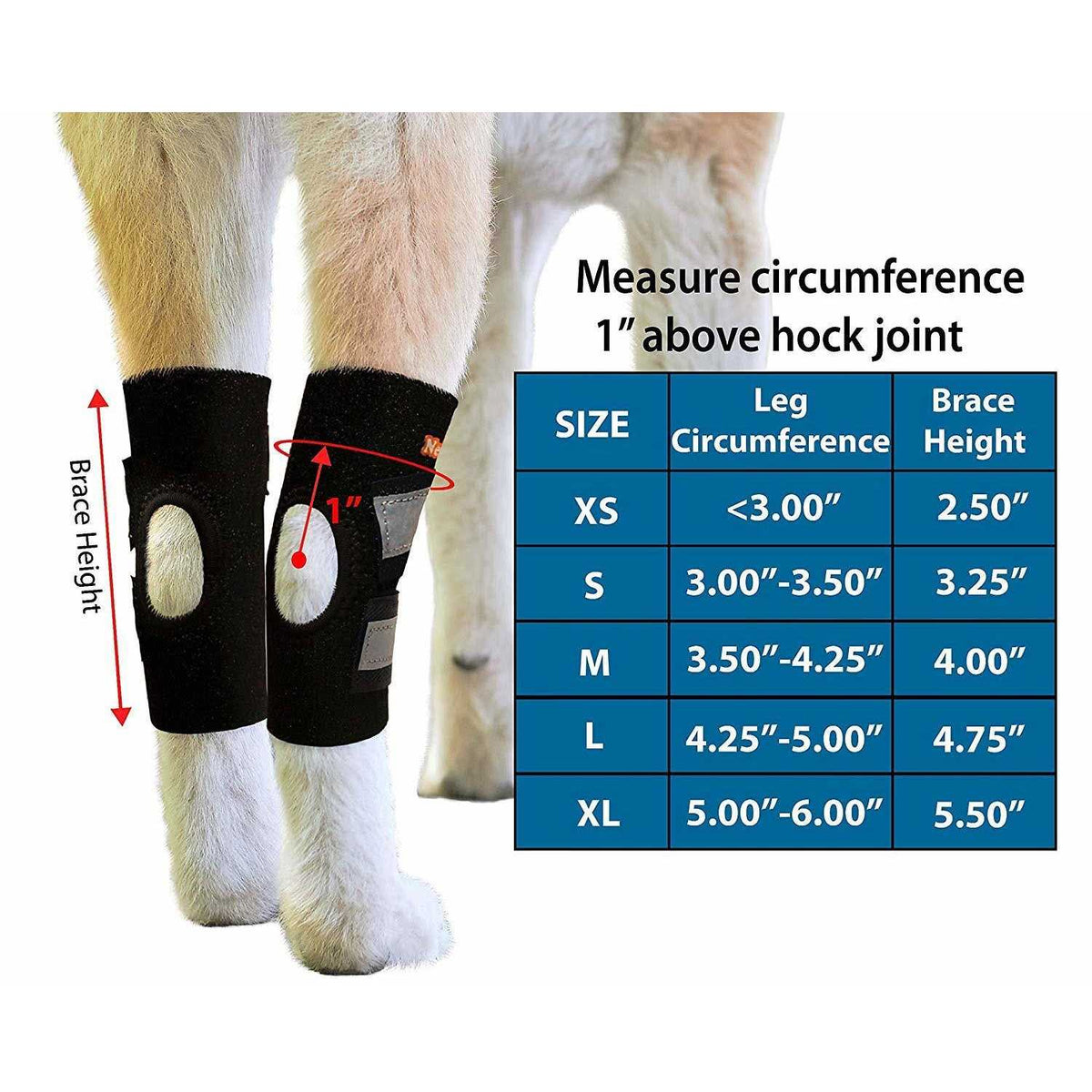 Dog Rear Leg Hock Ankle Support with Reflective Straps X50526