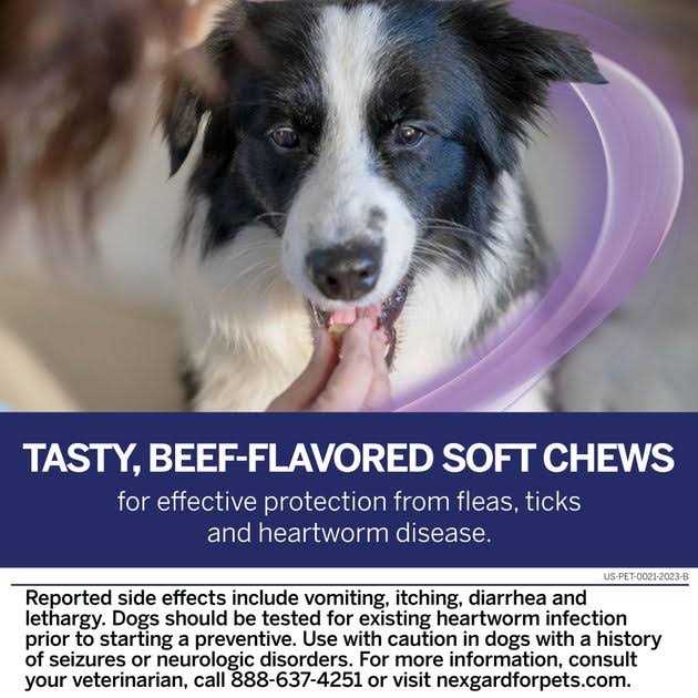 Chew for Dogs G847183