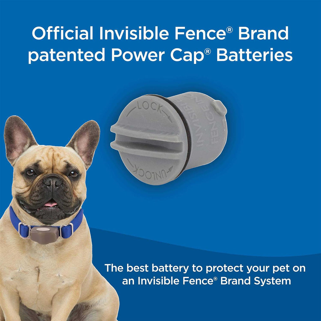 Power Cap Batteries for Computer Collar Units R442