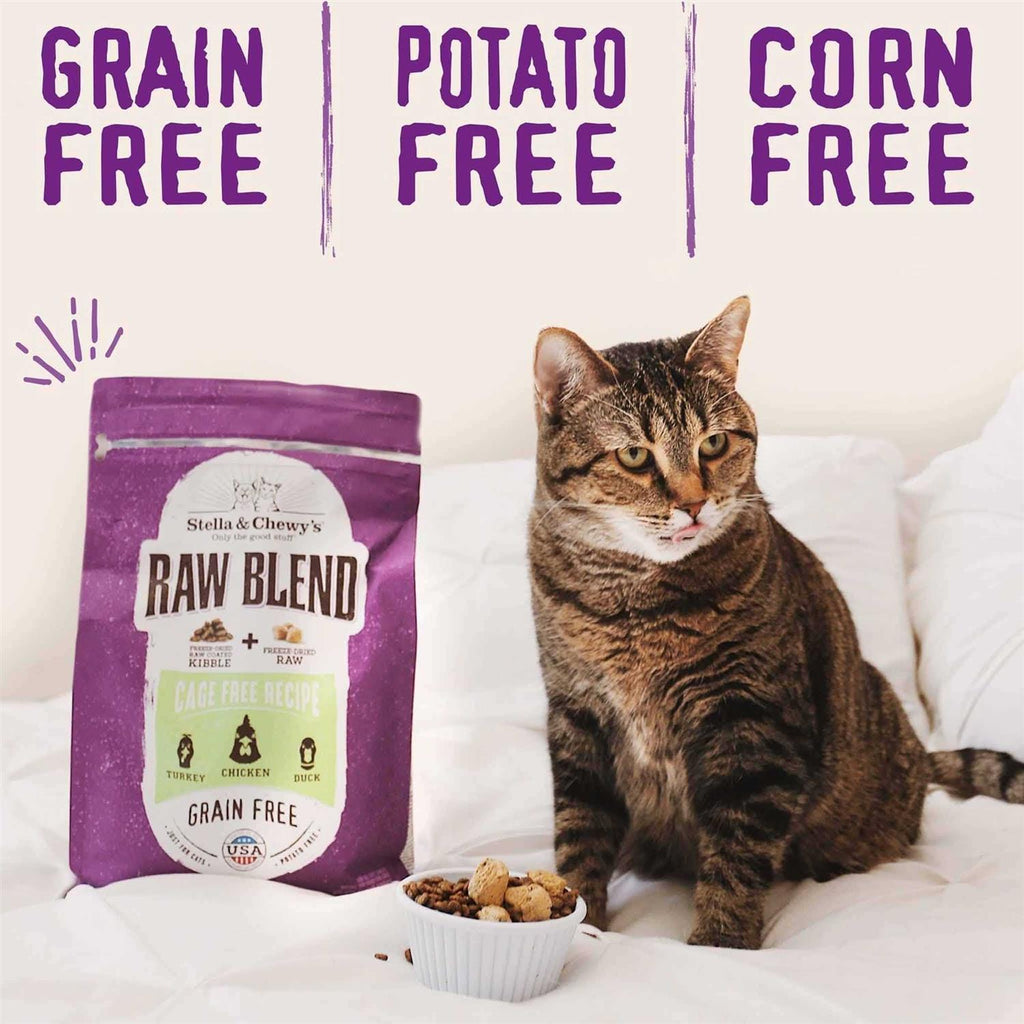Cage-Free Recipe Dry Cat Food O6864