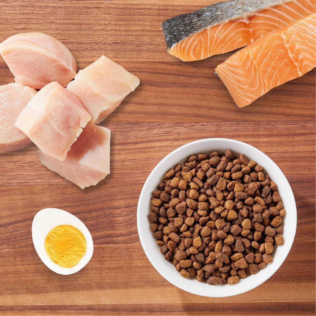 Salmon Adult Dry Cat Food A8231