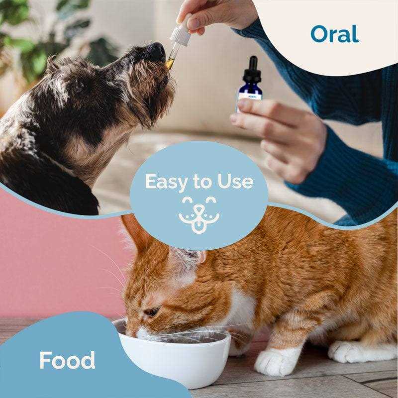 Herbal Dewormer for Dogs E41468
