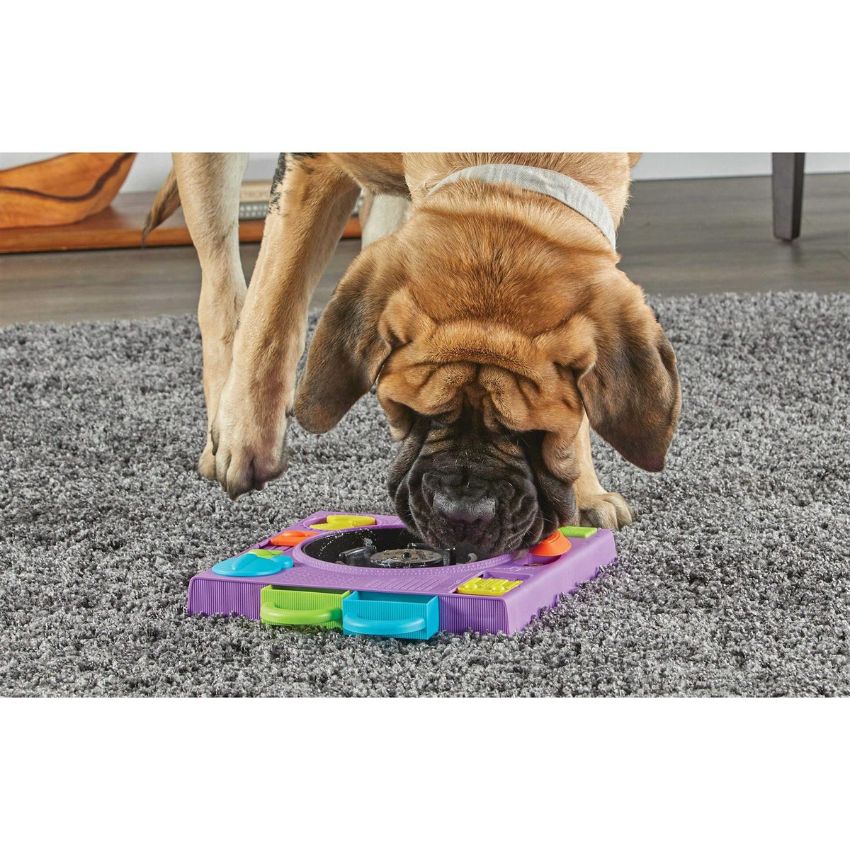 Puzzle Feeder Dog Toy C895