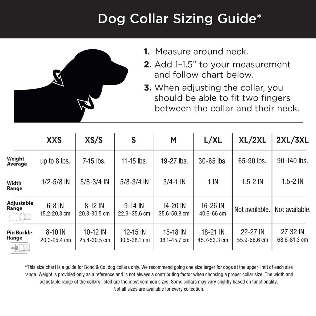 Martingale Dog Collar V402