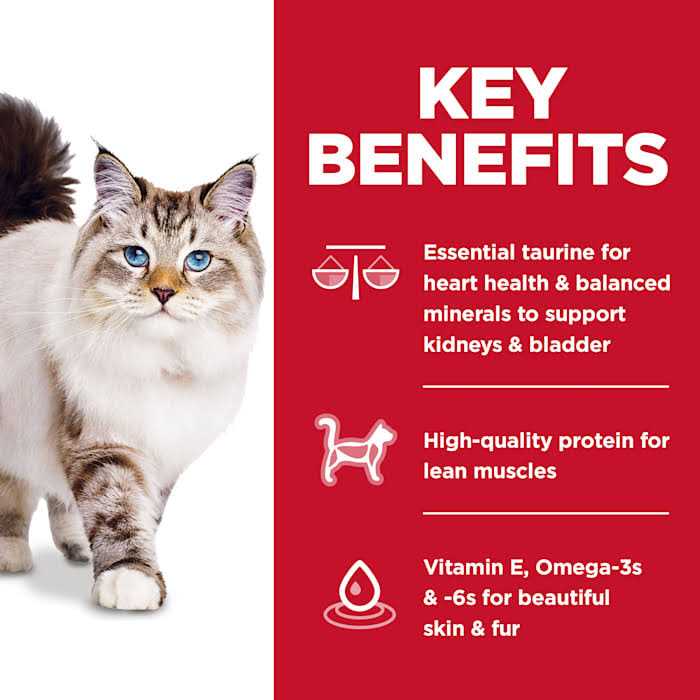 Chicken Dry Cat Food H30193