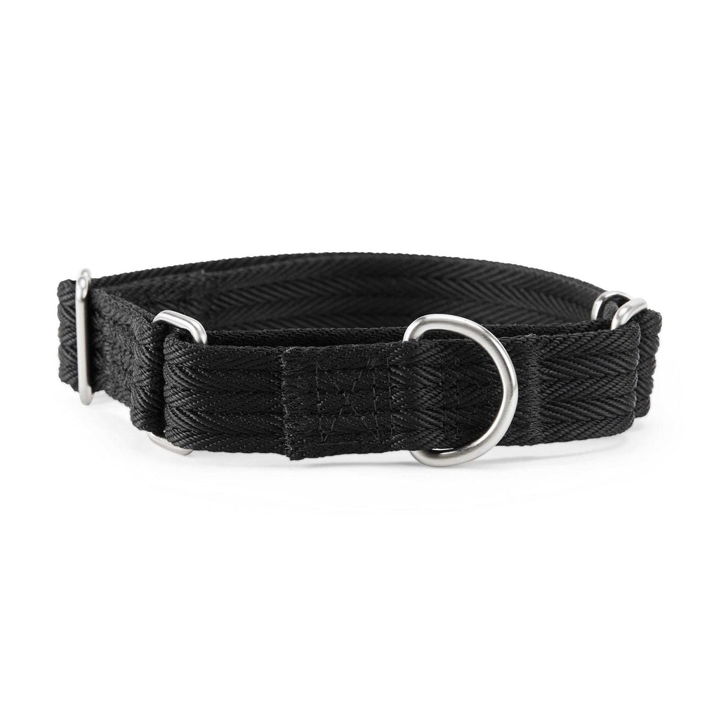 Martingale Dog Collar V402