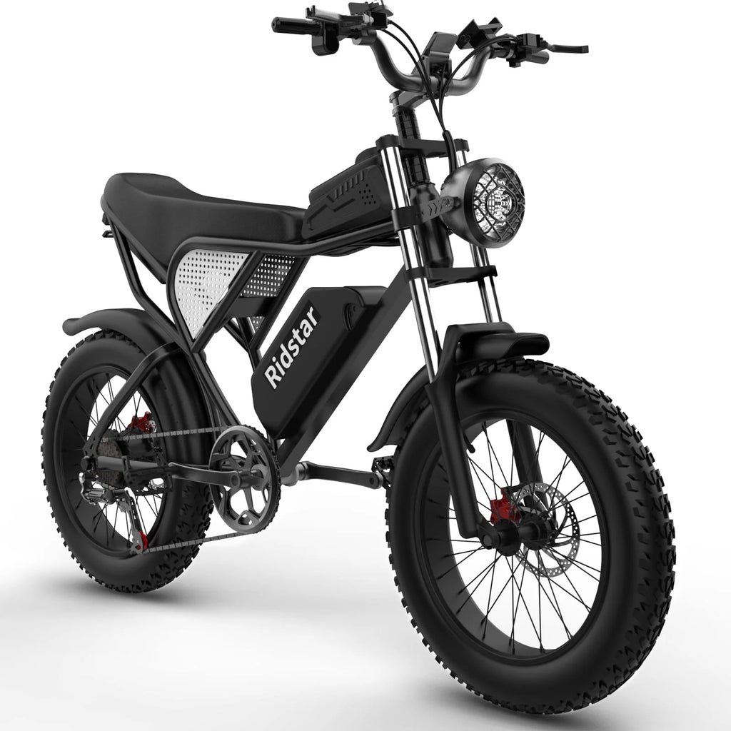 1000W Fat Tire Electric Bike with Removable Battery H323803