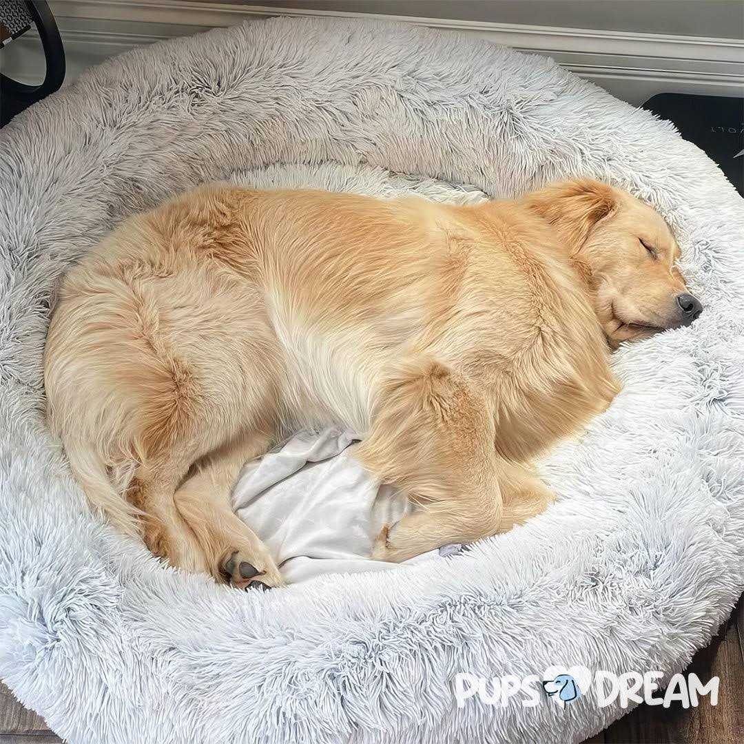 Calming Dog Bed O12297